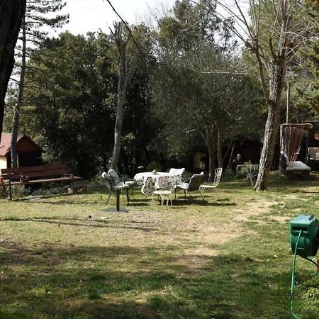 Mdq - Azienda Agricola Apartamento Castiglione dʼOrcia Exterior foto