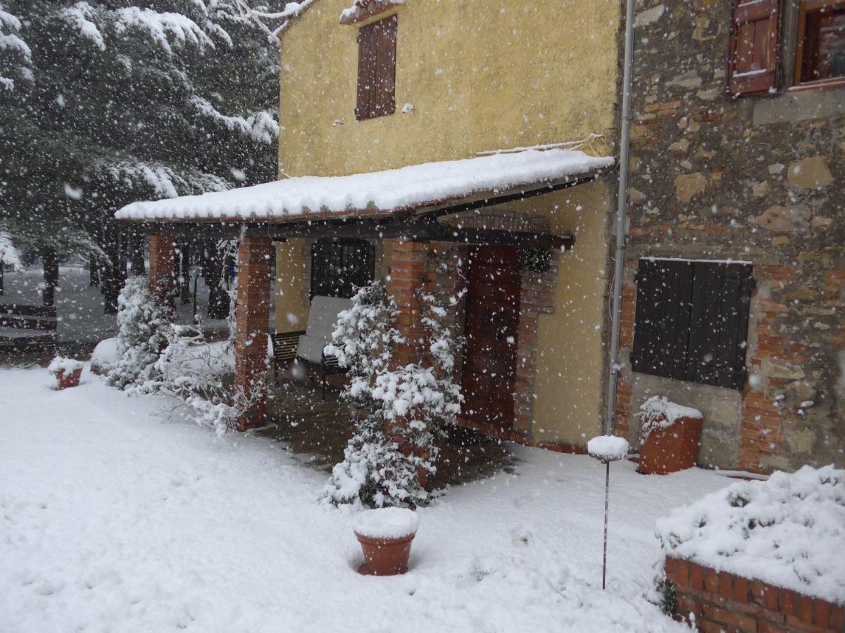 Mdq - Azienda Agricola Apartamento Castiglione dʼOrcia Exterior foto