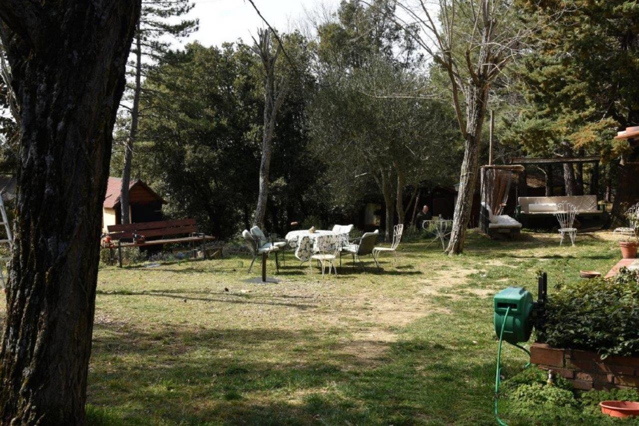 Mdq - Azienda Agricola Apartamento Castiglione dʼOrcia Exterior foto